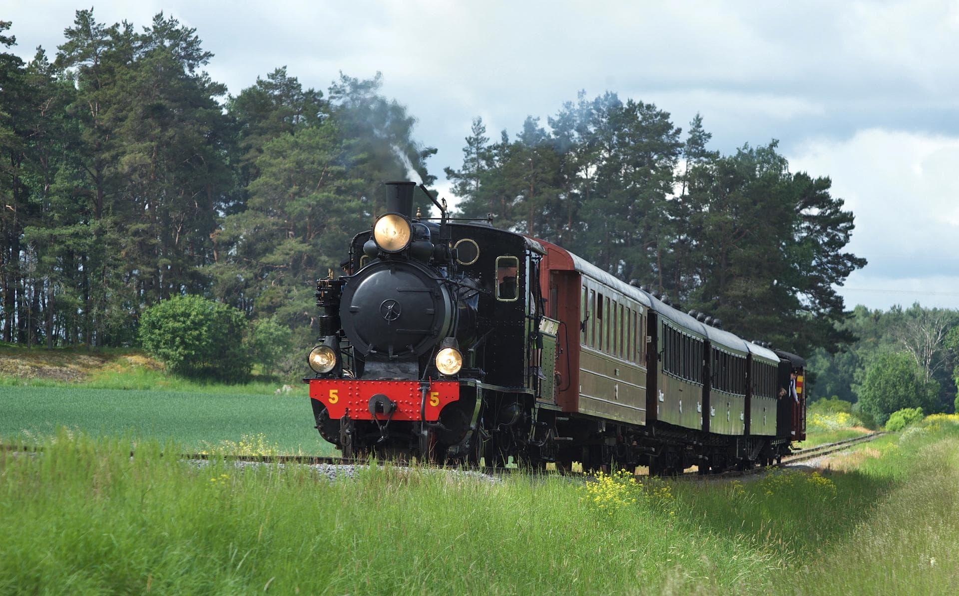 Steam locomotive with heritage cars driving in green summer landscape